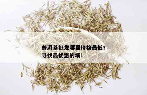 普洱茶批发哪里价格更低？寻找更优惠的场！