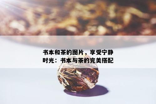 书本和茶的图片，享受宁静时光：书本与茶的完美搭配