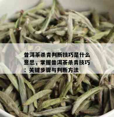 普洱茶杀青判断技巧是什么意思，掌握普洱茶杀青技巧：关键步骤与判断方法