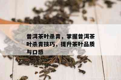 普洱茶叶杀青，掌握普洱茶叶杀青技巧，提升茶叶品质与口感