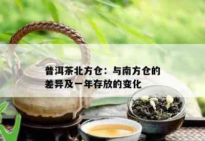 普洱茶北方仓：与南方仓的差异及一年存放的变化