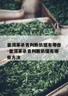 普洱茶杀青判断依据有哪些-普洱茶杀青判断依据有哪些方法