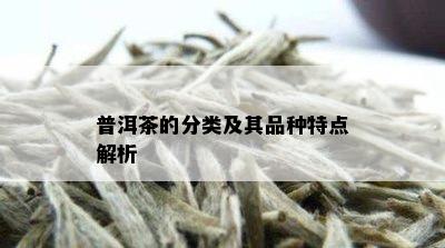 普洱茶的分类及其品种特点解析