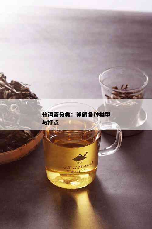 普洱茶分类：详解各种类型与特点