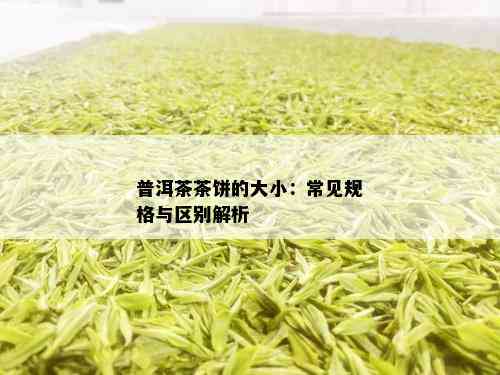 普洱茶茶饼的大小：常见规格与区别解析