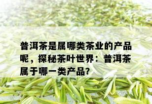 普洱茶是属哪类茶业的产品呢，探秘茶叶世界：普洱茶属于哪一类产品？