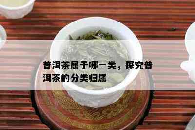 普洱茶属于哪一类，探究普洱茶的分类归属