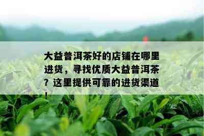 大益普洱茶好的店铺在哪里进货，寻找优质大益普洱茶？这里提供可靠的进货渠道！