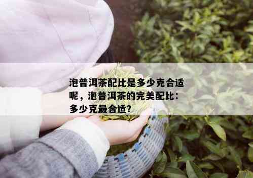 泡普洱茶配比是多少克合适呢，泡普洱茶的完美配比：多少克最合适？