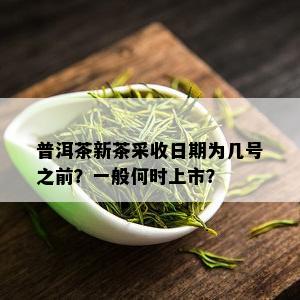 普洱茶新茶采收日期为几号之前？一般何时上市？