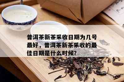 普洱茶新茶采收日期为几号更好，普洱茶新茶采收的更佳日期是什么时候？