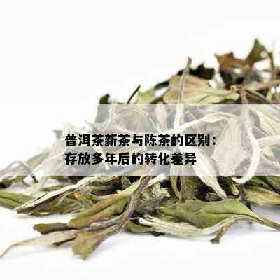 普洱茶新茶与陈茶的区别：存放多年后的转化差异