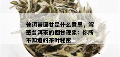 普洱茶回甘是什么意思，解密普洱茶的回甘现象：你所不知道的茶叶秘密