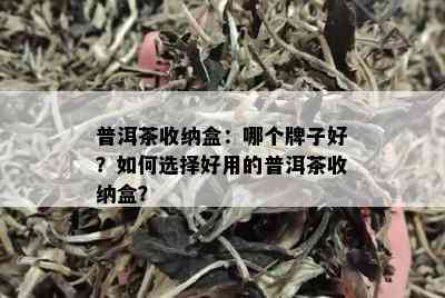 普洱茶收纳盒：哪个牌子好？如何选择好用的普洱茶收纳盒？