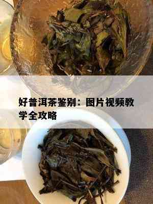 好普洱茶鉴别：图片视频教学全攻略