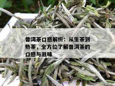 普洱茶口感解析：从生茶到熟茶，全方位了解普洱茶的口感与滋味