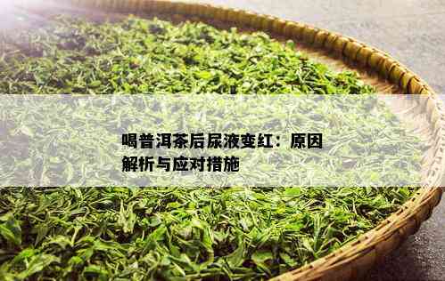 喝普洱茶后尿液变红：原因解析与应对措施