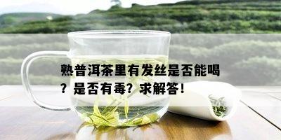 熟普洱茶里有发丝是否能喝？是否有？求解答！