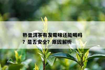 熟普洱茶有发霉味还能喝吗？是否安全？原因解析