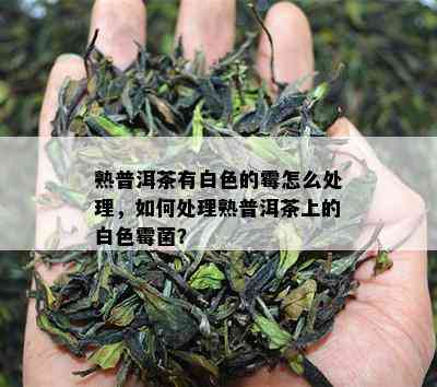 熟普洱茶有白色的霉怎么处理，如何处理熟普洱茶上的白色霉菌？