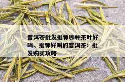 普洱茶批发推荐哪种茶叶好喝，推荐好喝的普洱茶：批发购买攻略