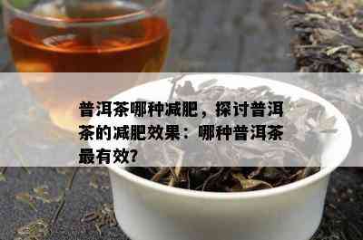 普洱茶哪种减肥，探讨普洱茶的减肥效果：哪种普洱茶最有效？