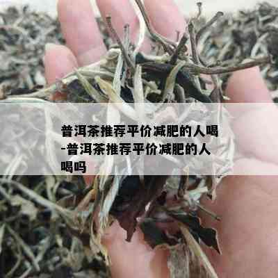 普洱茶推荐平价减肥的人喝-普洱茶推荐平价减肥的人喝吗