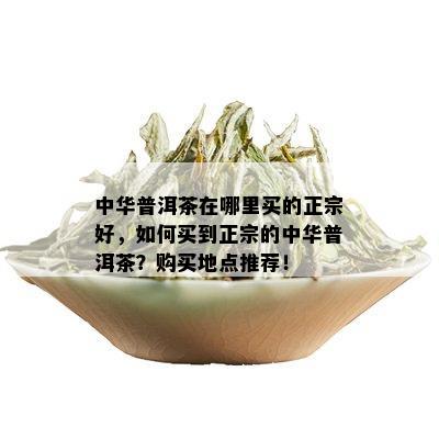 中华普洱茶在哪里买的正宗好，如何买到正宗的中华普洱茶？购买地点推荐！