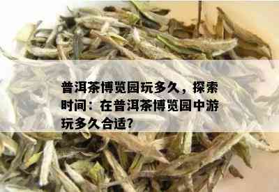 普洱茶博览园玩多久，探索时间：在普洱茶博览园中游玩多久合适？