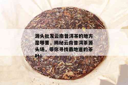 源头批发云南普洱茶的地方是哪里，揭秘云南普洱茶源头场，带你寻找最地道的茶叶！