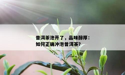 普洱茶泡开了，品味醇厚：如何正确冲泡普洱茶？