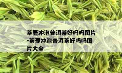 茶壶冲泡普洱茶好吗吗图片-茶壶冲泡普洱茶好吗吗图片大全