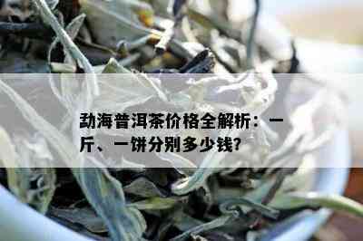 勐海普洱茶价格全解析：一斤、一饼分别多少钱？