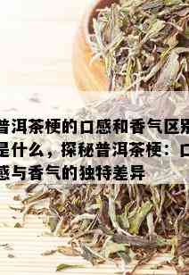 普洱茶梗的口感和香气区别是什么，探秘普洱茶梗：口感与香气的独特差异