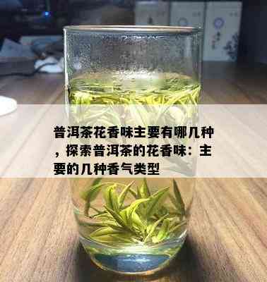 普洱茶花香味主要有哪几种，探索普洱茶的花香味：主要的几种香气类型