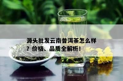 源头批发云南普洱茶怎么样？价格、品质全解析！