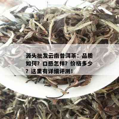 源头批发云南普洱茶：品质如何？口感怎样？价格多少？这里有详细评测！