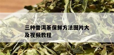 三种普洱茶保鲜方法图片大及视频教程