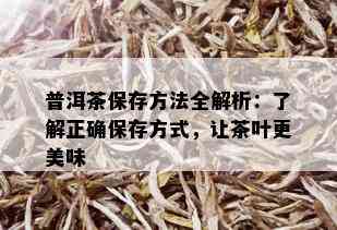 普洱茶保存方法全解析：了解正确保存方式，让茶叶更美味