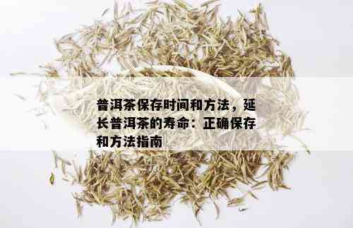 普洱茶保存时间和方法，延长普洱茶的寿命：正确保存和方法指南