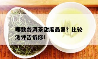 哪款普洱茶甜度更高？比较测评告诉你！