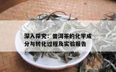 深入探究：普洱茶的化学成分与转化过程及实验报告