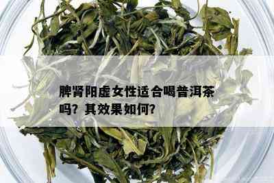 脾肾阳虚女性适合喝普洱茶吗？其效果如何？