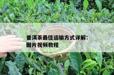 普洱茶更佳运输方式详解：图片视频教程