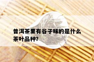 普洱茶里有谷子味的是什么茶叶品种？