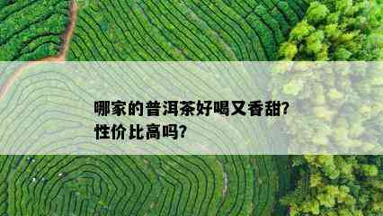 哪家的普洱茶好喝又香甜？性价比高吗？