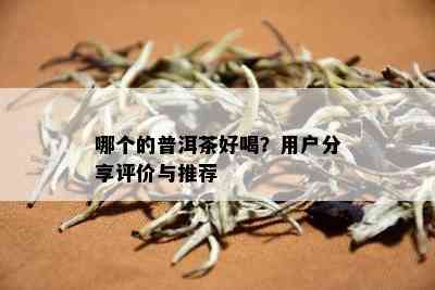 哪个的普洱茶好喝？用户分享评价与推荐