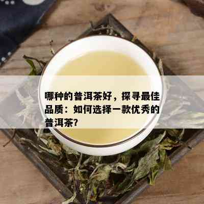 哪种的普洱茶好，探寻更佳品质：如何选择一款优秀的普洱茶？