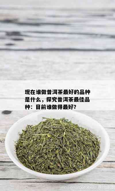 现在谁做普洱茶更好的品种是什么，探究普洱茶更佳品种：目前谁做得更好？