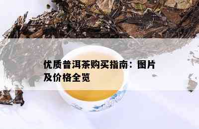 优质普洱茶购买指南：图片及价格全览